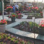 Stone walkways winding through flower store