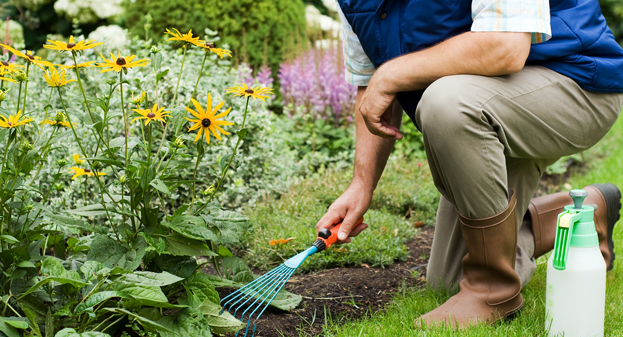 Man working in the garden