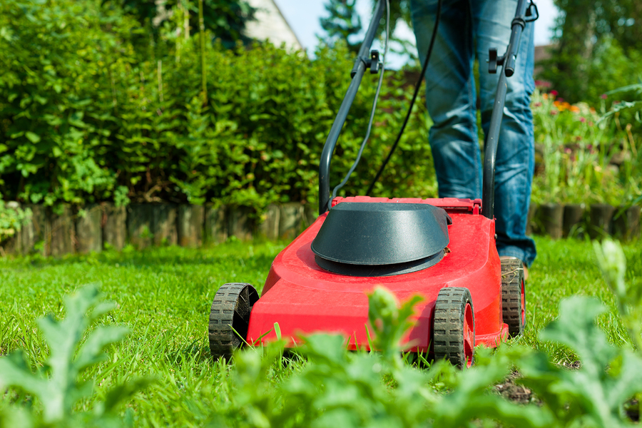 push mower mowing lawn