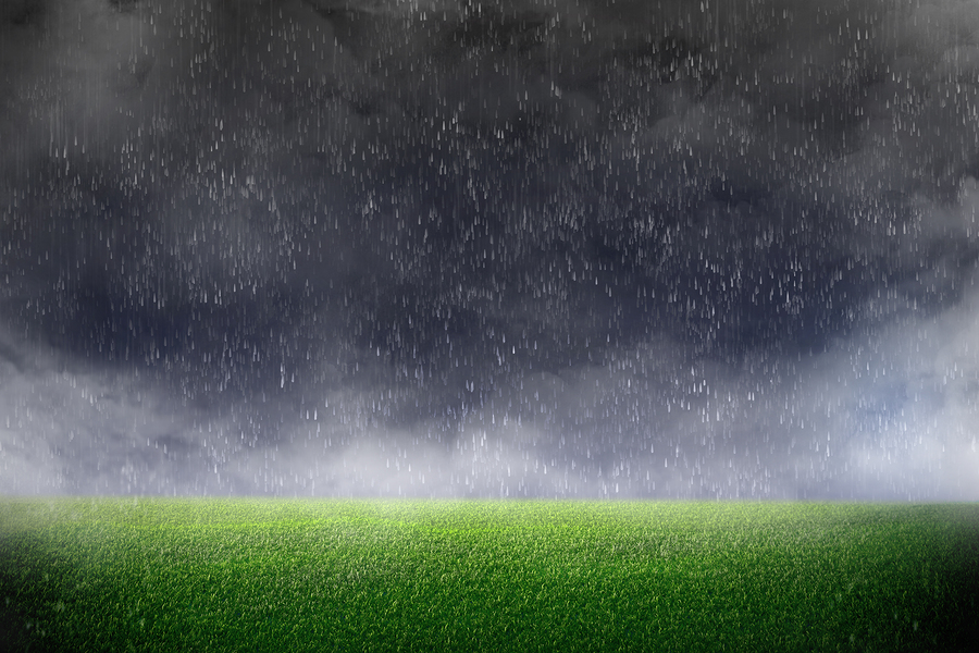 Nature friendly lawn care in Lee's Summit