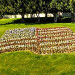 flowerbed in the shape of the American Flag