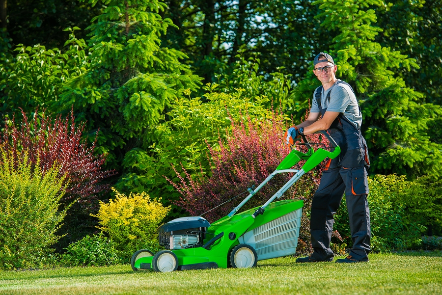 man mowing lawn with green lawn mower