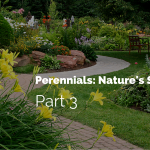 farden with walkway with text perennials: Nature's survivors part 3