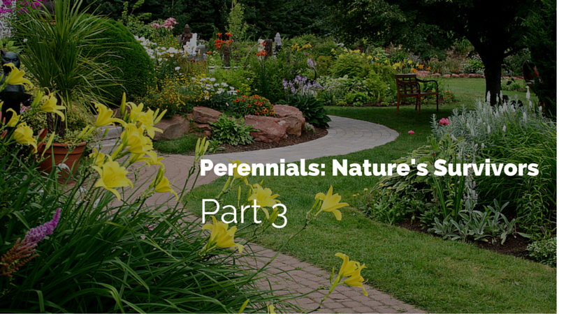 farden with walkway with text perennials: Nature's survivors part 3