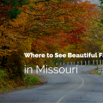 paved back road in Autumn with text where to see beautiful fall foliage in Missouri.