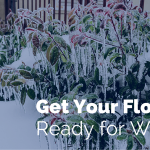 shrub covered in ice with text get your flowers ready for Winter