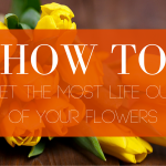 How to Get the Most Life Out of Your Flowers