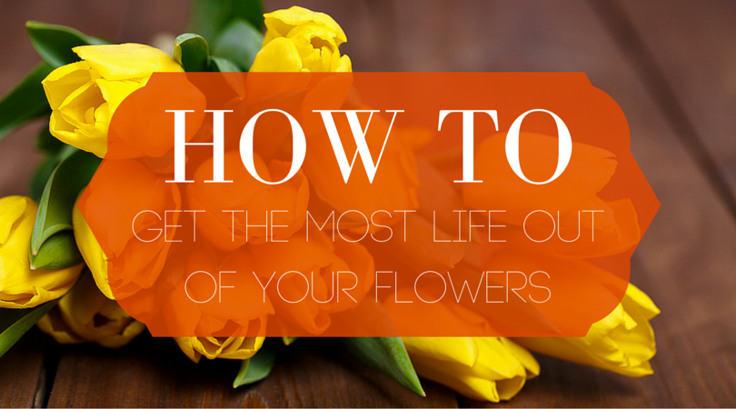 How to Get the Most Life Out of Your Flowers