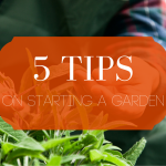 man pruning with text five tips on starting a garden