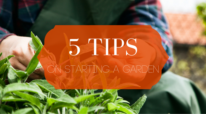 man pruning with text five tips on starting a garden