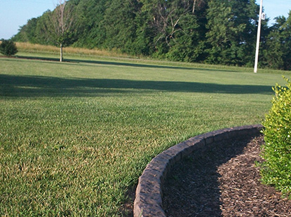 Freshly mowed yard with trees