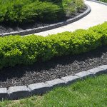 Pathway near bush wall curbed by grey bricks