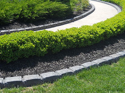 Pathway near bush wall curbed by grey bricks