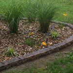 Black brick curbing surrounding rocks and ferns