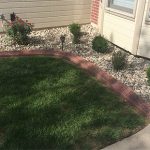 Red brick curbing near rock garden