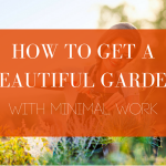 How to get a beautiful garden with minimal work blog header