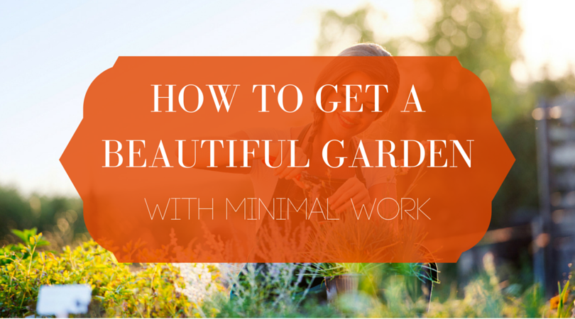 How to get a beautiful garden with minimal work blog header